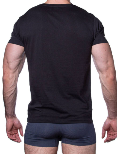 177386 Футболка мужская Sergio Dallini SDT750-2 (1)