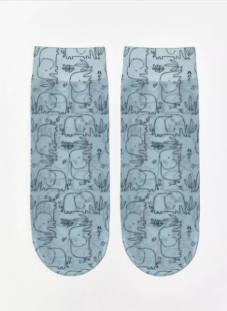 171281 Носки женские CN FANTASY 18С-76СП 254 (1)