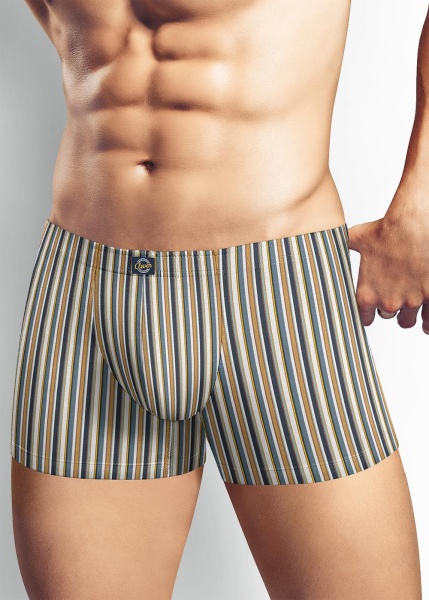 171938 Трусы мужские CLE MSH525511