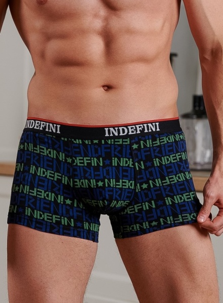 176695 Трусы мужские INDEFINI MUF3018