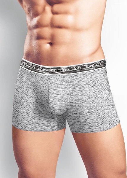 167973 Трусы мужские CLE MSH513513