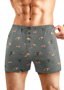 Трусы боксеры Новый год для мужчин Clever 179153