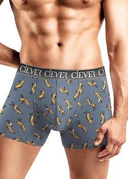 Трусы шорты для мужчин Clever 185467