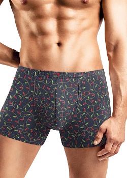 Трусы шорты Новый год для мужчин Clever 185225