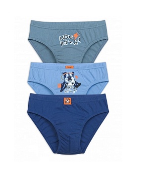 Трусы слипы для мальчиков Pelican 171167