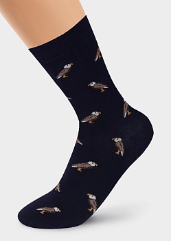 Носки цветные для мужчин Clever 173648