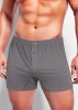 138468 Боксеры мужские CLE MBX608710/2