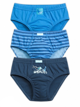 169641 BULB4223(3) трусы для мальчиков