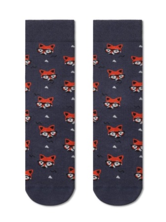 176711 Носки мужские DIWARI FAMILY LOOK 21C-27СПА 156