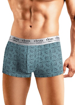 Трусы шорты для мужчин Clever 173860