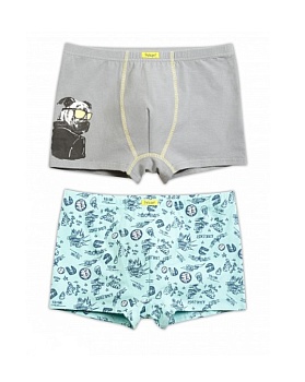 Трусы шорты для мальчиков Pelican 170089