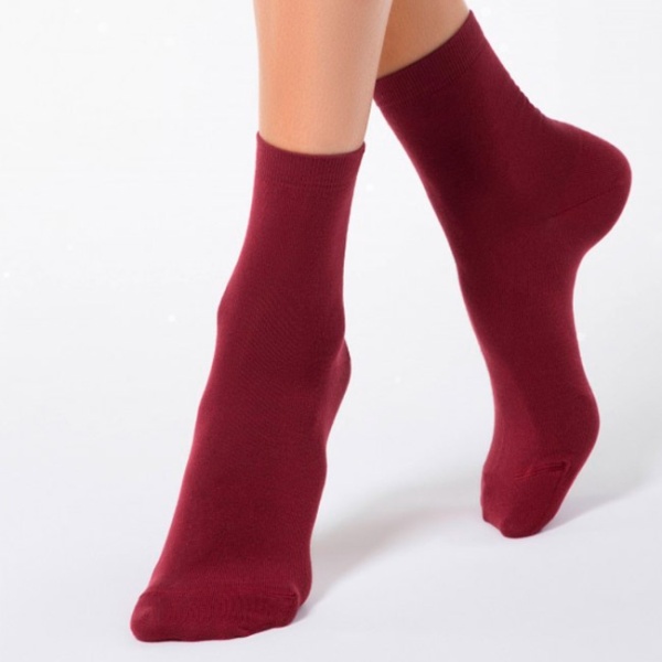 159951 Носки женские CN 64000 Classic (микромодал) (4)