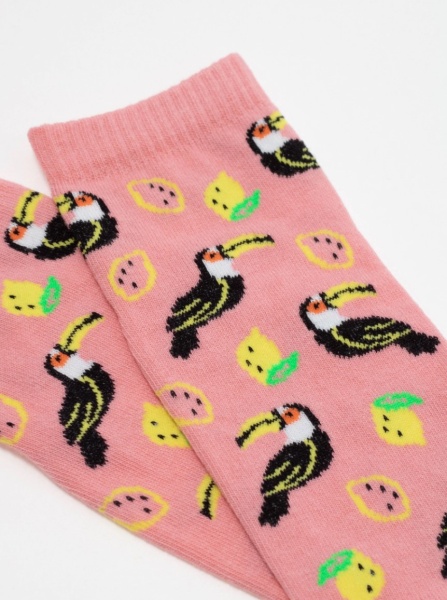 177993 Носки женские Брестские 16С1103 FUNNY 538 (1)