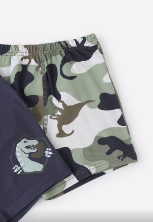 172502 Трусы для мал CROCKID КБ 1912/2 (3)