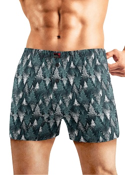 Трусы боксеры Новый год для мужчин Clever 185217