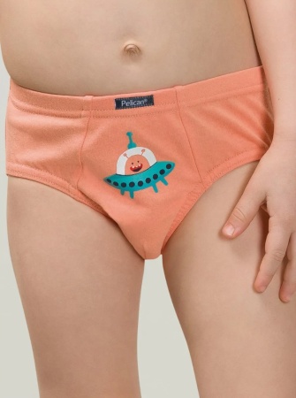 176205 BULB3297(3) трусы для мальчиков (1)