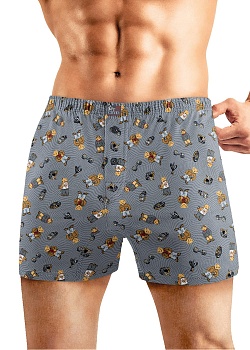 Трусы боксеры для мужчин Clever 185611