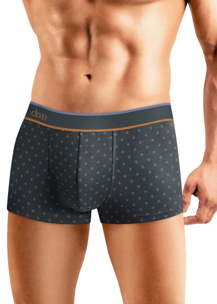 176983 Трусы мужские CLE MH430513