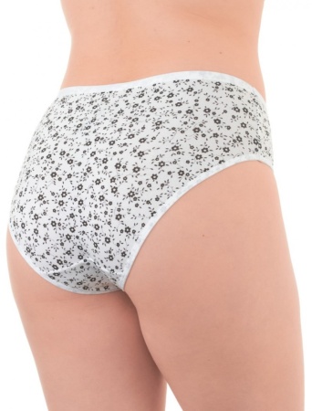 172053 Трусы женские БВ SL4194 (1)