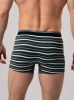 173567 Трусы мужские INDEFINI MUB1157 (1)