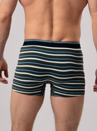 173567 Трусы мужские INDEFINI MUB1157 (1)