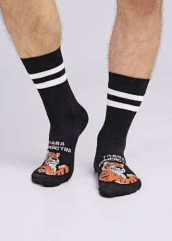 Носки 23 февраля для мужчин Clever 179624