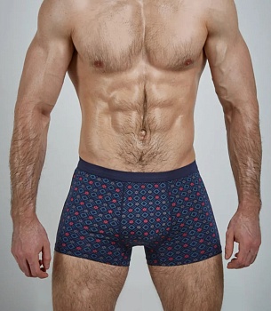 Трусы боксеры для мужчин Sergio Dallini 179688