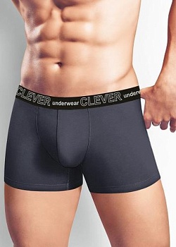Трусы шорты для мужчин Clever 170670