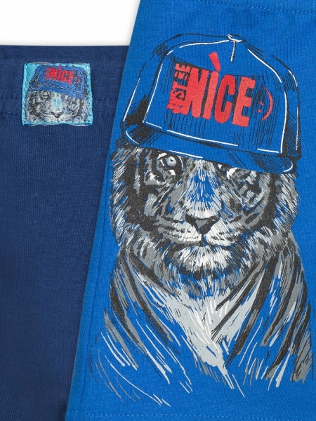 162936 BUHB4174(2) трусы для мальчиков (1)