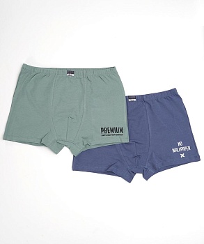 Трусы боксеры для мальчиков Clever 184592