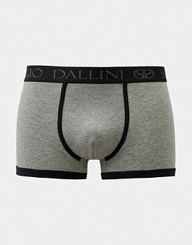 Трусы боксеры для мужчин Sergio Dallini 185009