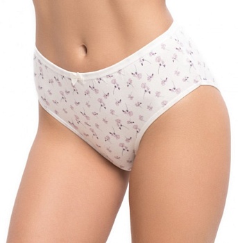 Трусы слипы для женщин MISS BEAUTIFUL 170749