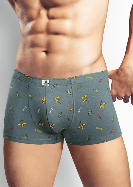 171933 Трусы мужские CLE MH525411