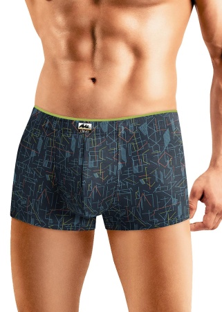177244 Трусы мужские CLE MH421913