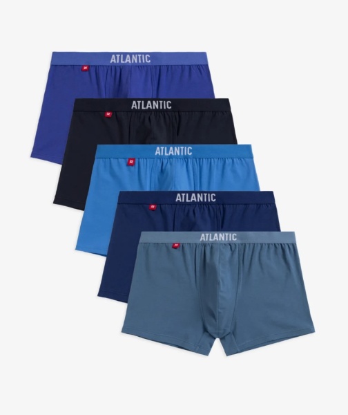 173813 Шорты муж. 5SMH-004