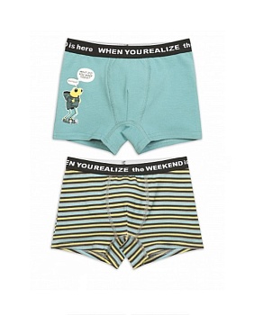 Трусы шорты для мальчиков Pelican 170998