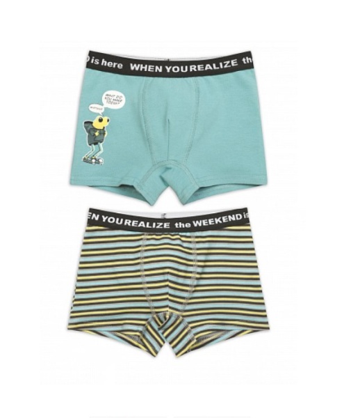 170998 BUHB3273(2) трусы для мальчиков