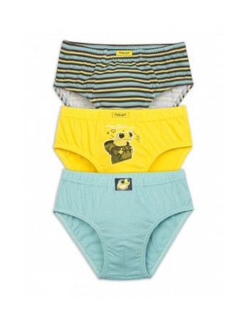 171169 BULB3273(3) трусы для мальчиков