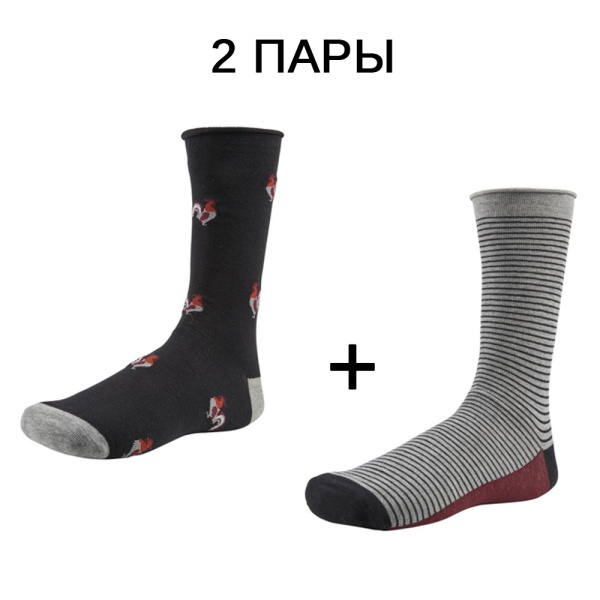 166260 Носки мужские (2 пары) YM 22747 (1)