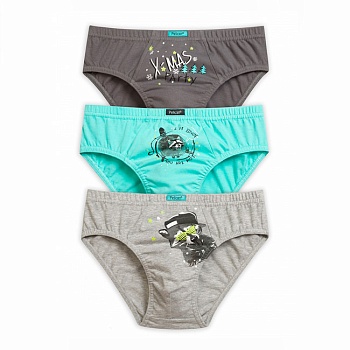 Трусы слипы для мальчиков Pelican 161613