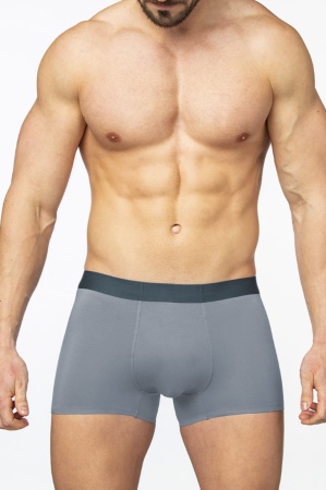 171811 Боксеры мужские SD 2908-6