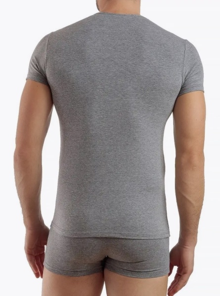 178001 Футболка мужские Enrico Coveri ET1001 (2)