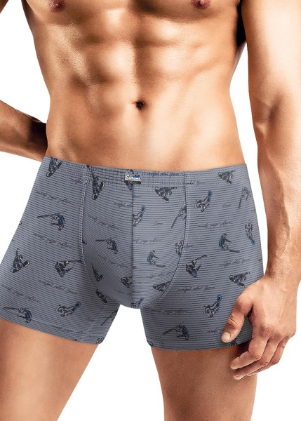 177507 Трусы мужские CLE MSH431521