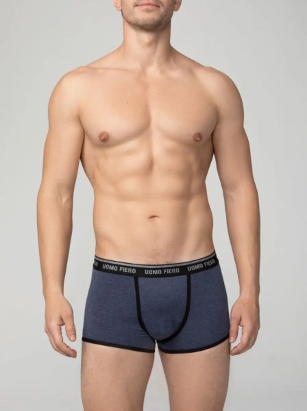 176717 Шорты мужские 055 FX (2)