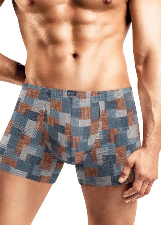 177791 Трусы мужские CLE MH540443
