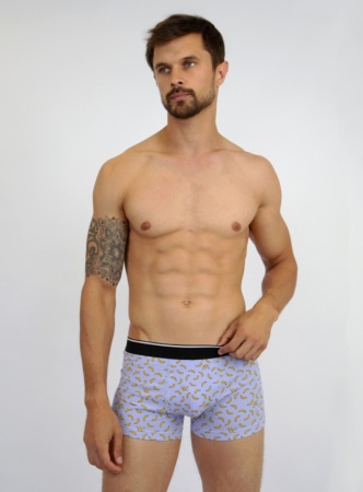 172868 Трусы мужские INDEFINI MUF2070