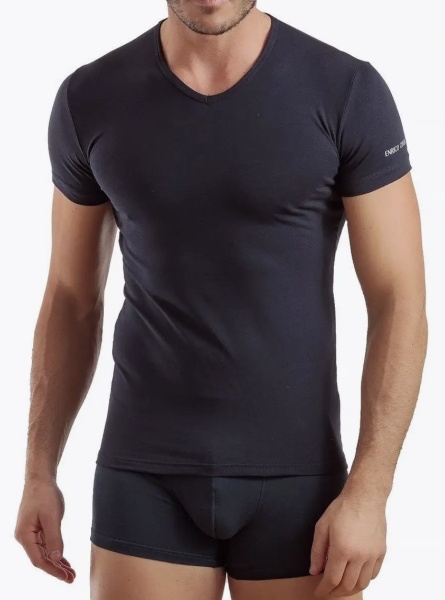 178001 Футболка мужские Enrico Coveri ET1001