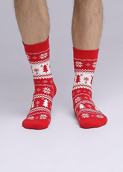 Носки цветные Новый год для мужчин Clever 177066