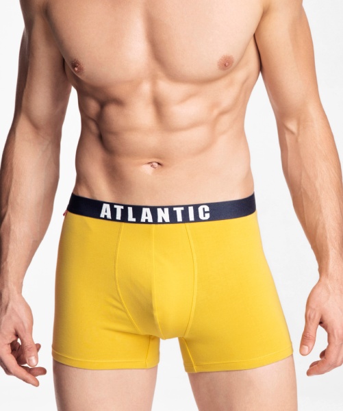 167723 Шорты муж. 3MH-011 (4)