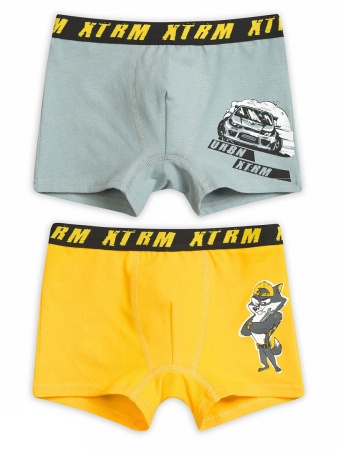 162047 трусы для мальчиков BUHB3171(2)